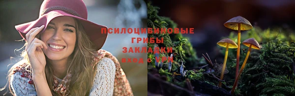 синтетический гашиш Белокуриха
