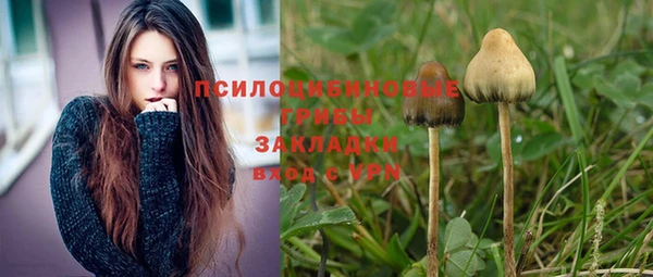 синтетический гашиш Белокуриха