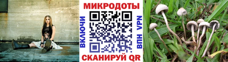 Псилоцибиновые грибы Magic Shrooms  Бутурлиновка 